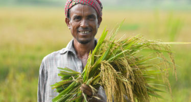 কৃষক না থাকলে সরকার থাকেনা