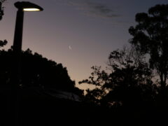 Canberra Ramadan 2026 (1447H) Starts Thursday 19th February