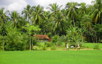 বাংলাদেশে অনুমতি ছাড়া গ্রামেও বাড়ি করা যাবে না