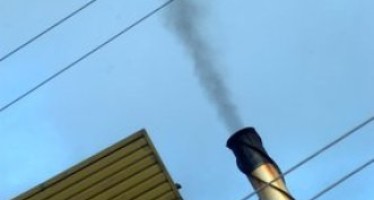 Join the Worldwide Celebration of Positive Action for the Environment in Canberra