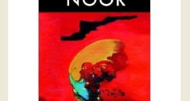 BOOK REVIEW Healing invisible wounds Noor by Sorayya Khan