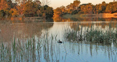 Bengali Language and Cultural School Annual sports, BBQ on Sunday 11 March