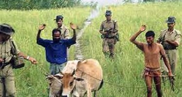 Killing of Bangladesh nationals at the border and Cattle Trade