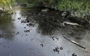 Oil spill in Sunderbans:  Unprecedented Ecological Disaster