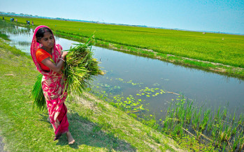 Securing Safe Water Food and Climate in Bangladesh