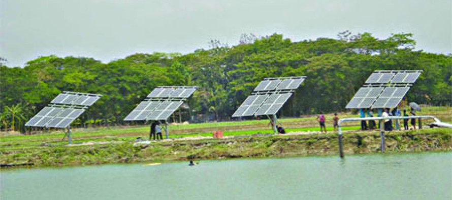 Solar-powered irrigation project launched in Bangladesh
