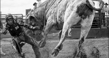 The urban cowboy : Kayum Hoque