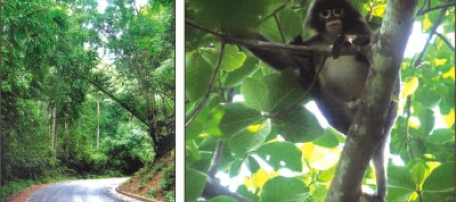 Lawachhera Forest: Eco damage feared from Chevron's seismic survey