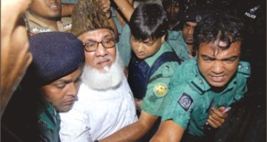 Nizami arrested in GATCO hunt