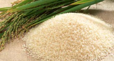 Saga of Indian rice to Bangladesh!