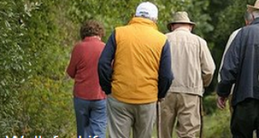 Walk for life in Canberra